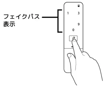 フェイクパスの表示